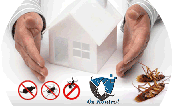 Bornova Ev İlaçlama Firması İzmir İlaçlama Firması 0507 883 60 96